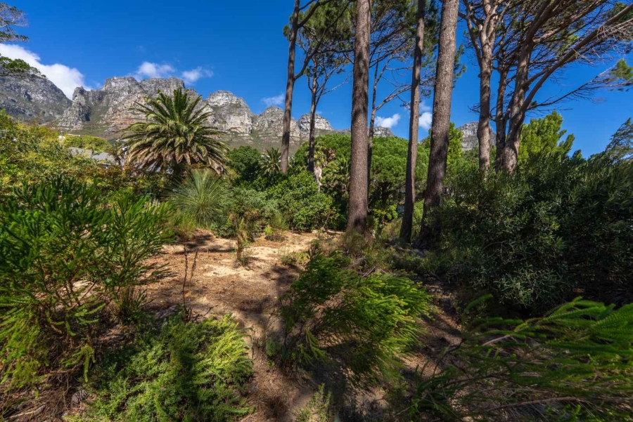 To Let 3 Bedroom Property for Rent in Bakoven Western Cape